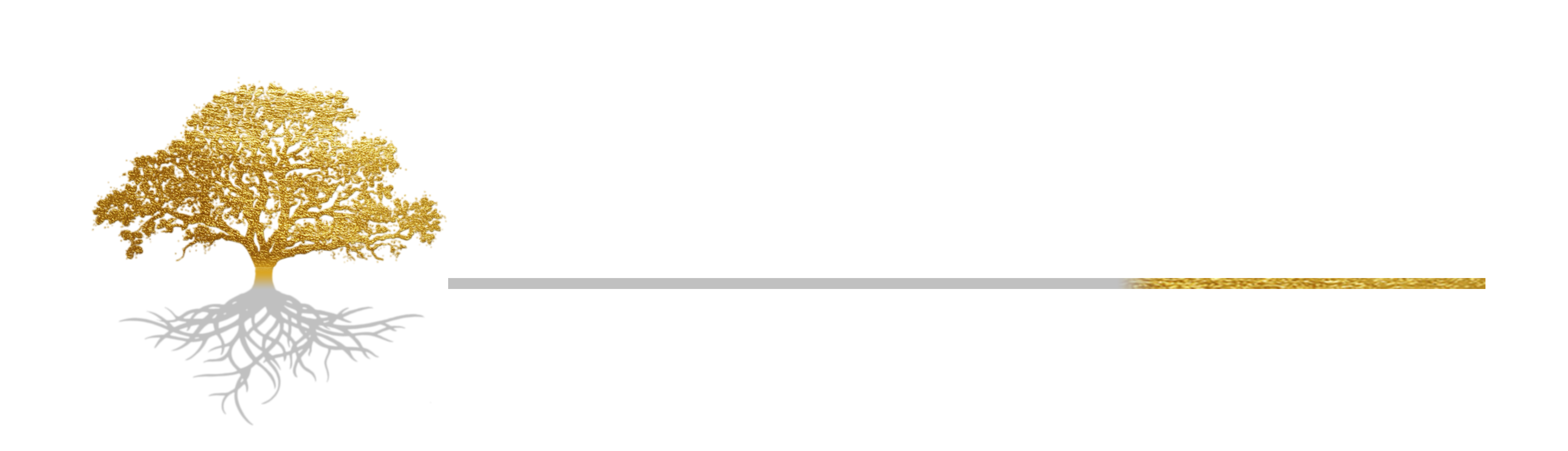 Carvalho Administração